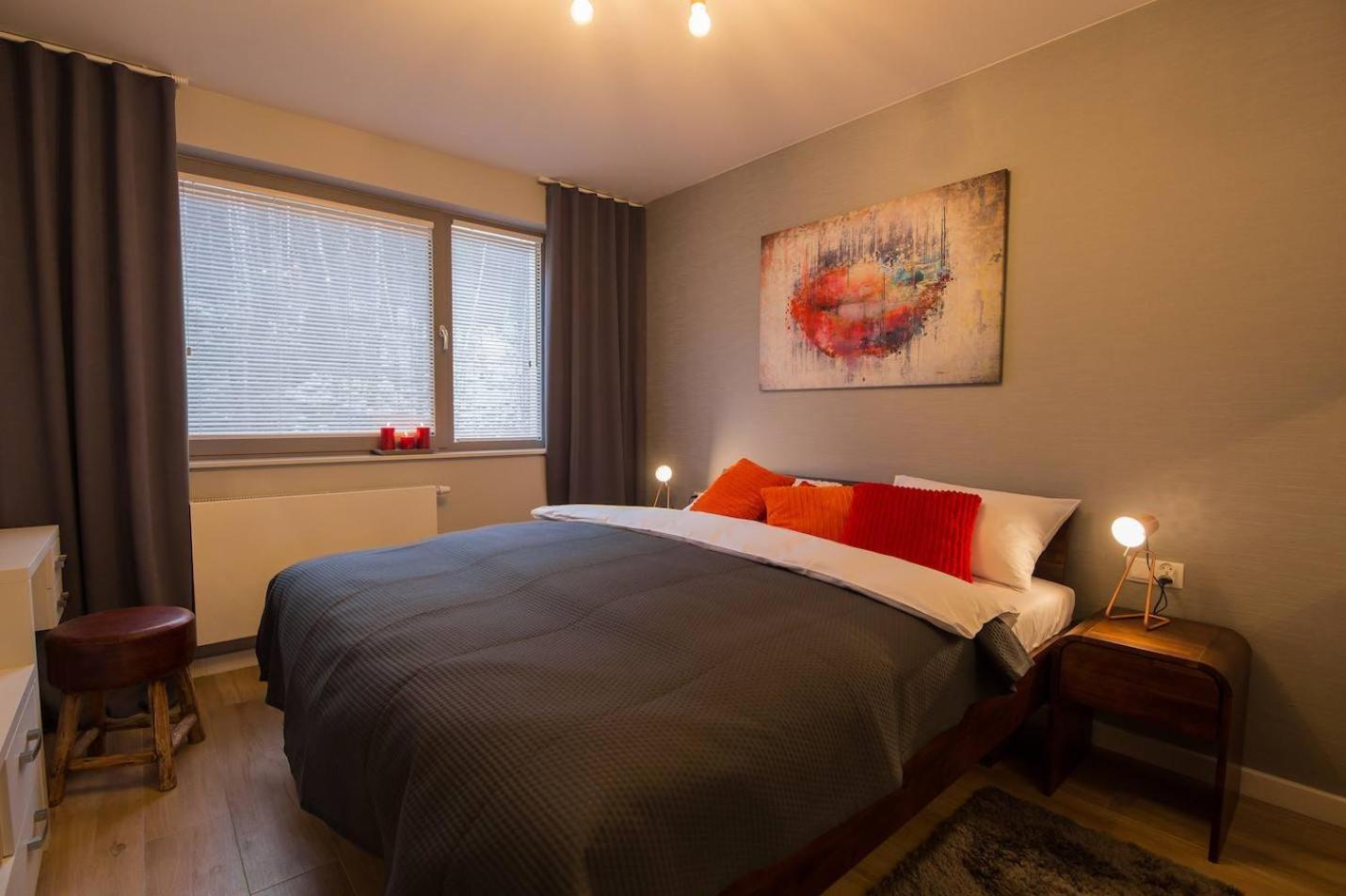 Apartview Premium By Rent Like Home Wisła Eksteriør billede